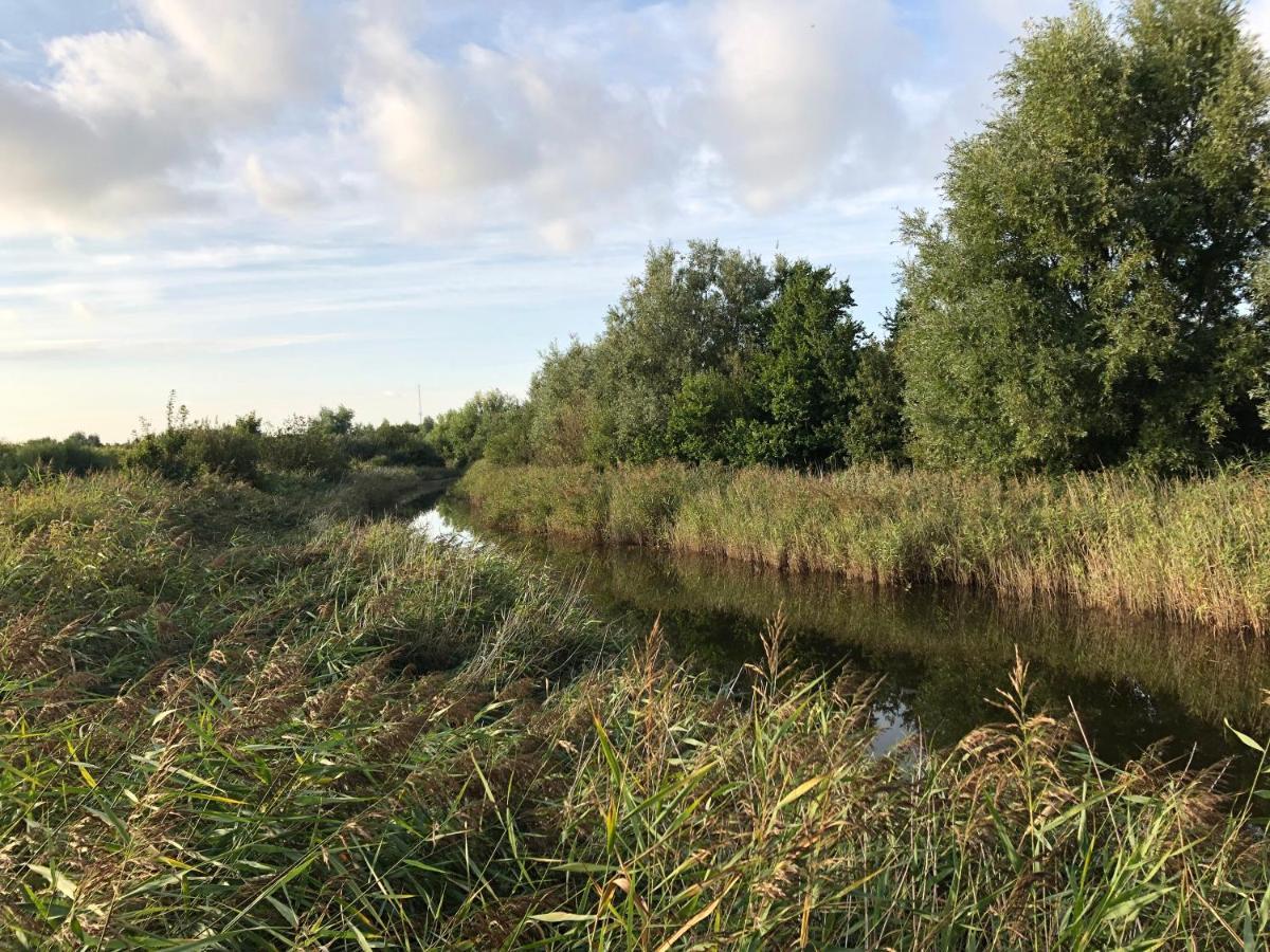 Westkapelle Comfortabele Strandkamer Aan De Kreek 外观 照片